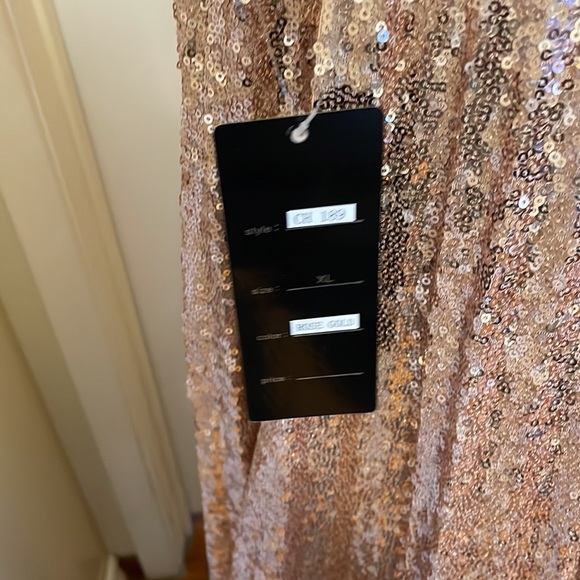 Cinderella Divine CH189 Rose Gold Long Dress - Picture 7 of 9